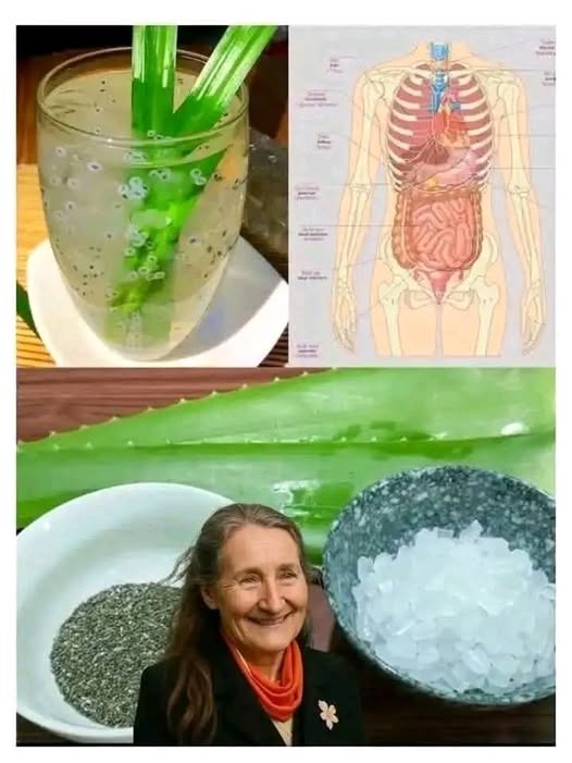 494108944 1699564257347039 5118140077211512823 N