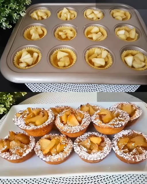 494245204 611220785269703 7691592859483853743 N