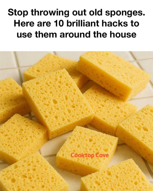 494469808 122155843040444875 904097096363322162 N
