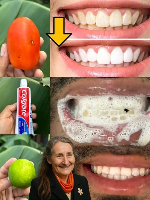 495259488 122112899990824571 3282994219704344757 N