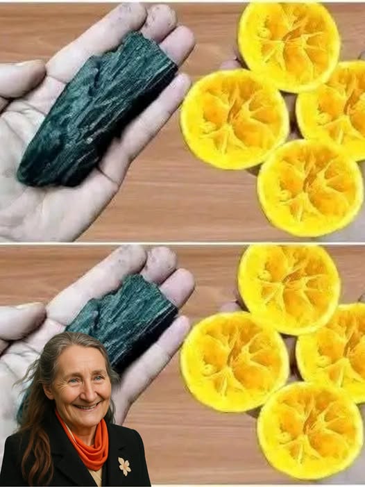 497578383 122115851804824673 6270755676315332202 N