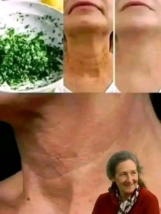 498106516 711337038024827 6230038909047961619 N