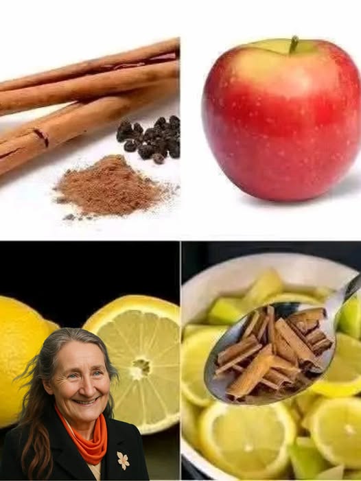 499950533 122116465238824673 558093093934424031 N