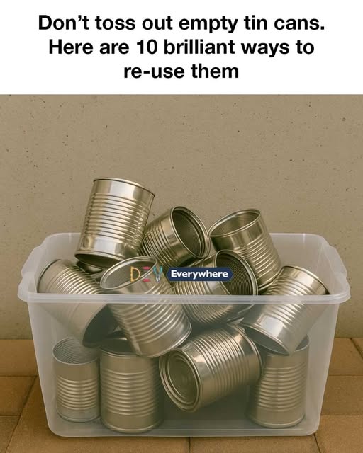 500284011 122248725458229731 243594754504646724 N