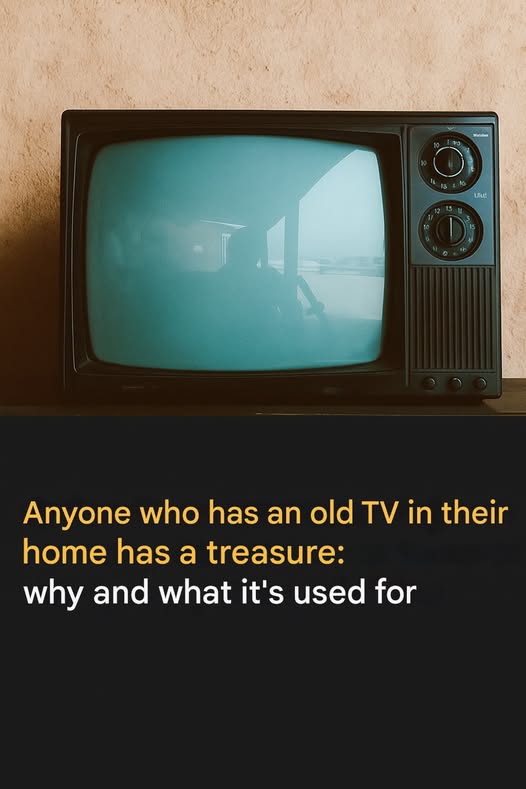 514309539 122196551690093586 1694363157039534558 N