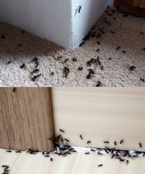 518139571 122260002794229731 2884944506416841925 N