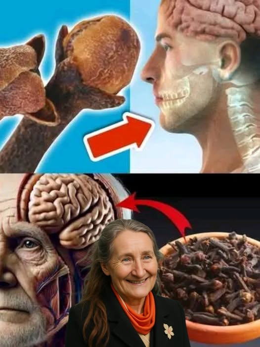 518360613 122126383922824673 1867079038772180658 N