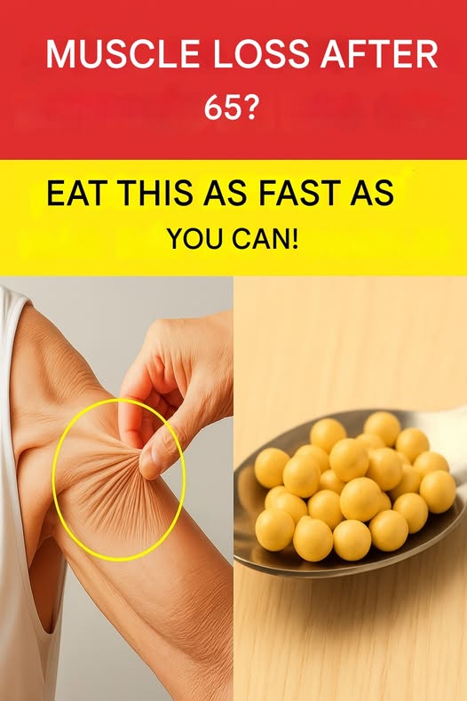 518960852 122198147600093586 6028441196783258443 N