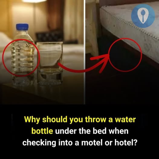 531432167 122226511874143339 4066382257750562481 N