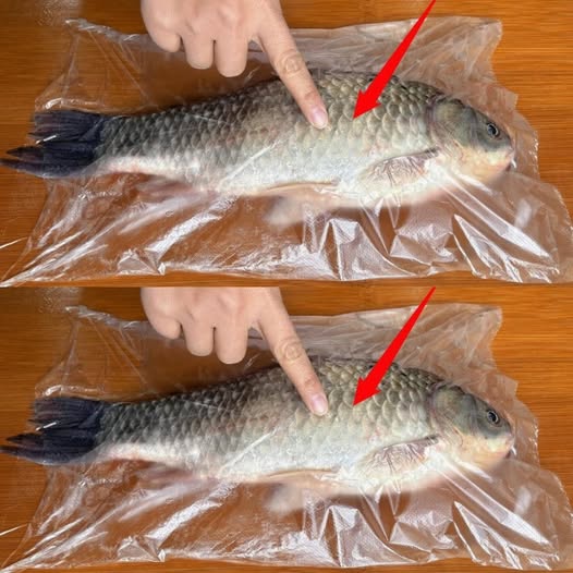 531843581 122201552462093586 6166047955353330836 N