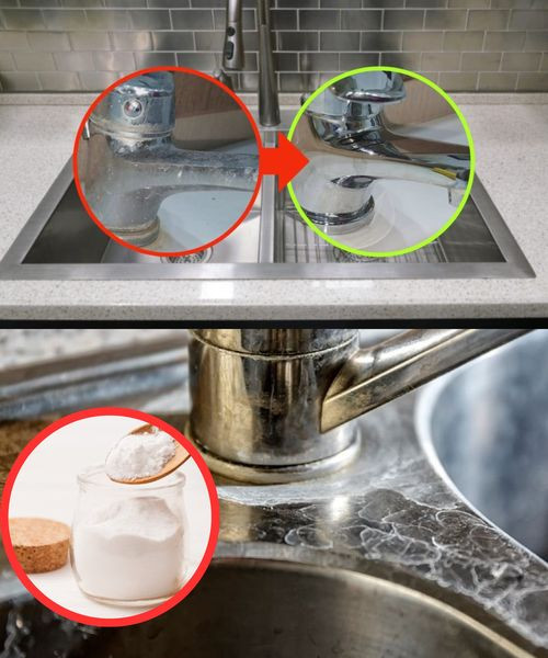 531915945 122226830264143339 629486961812663023 N