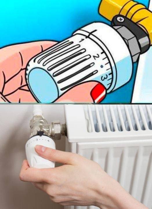 533496463 122201742284093586 6986039233319561333 N