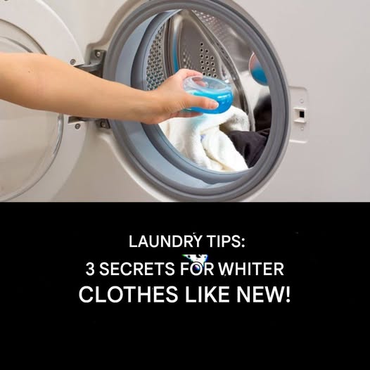 533762864 122226825098143339 7021539810066470918 N